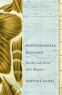 Composite image showing a drawing of the musculature of a human torso overlapped onto a map of an ocean with latitudinal and longitudinal lines.