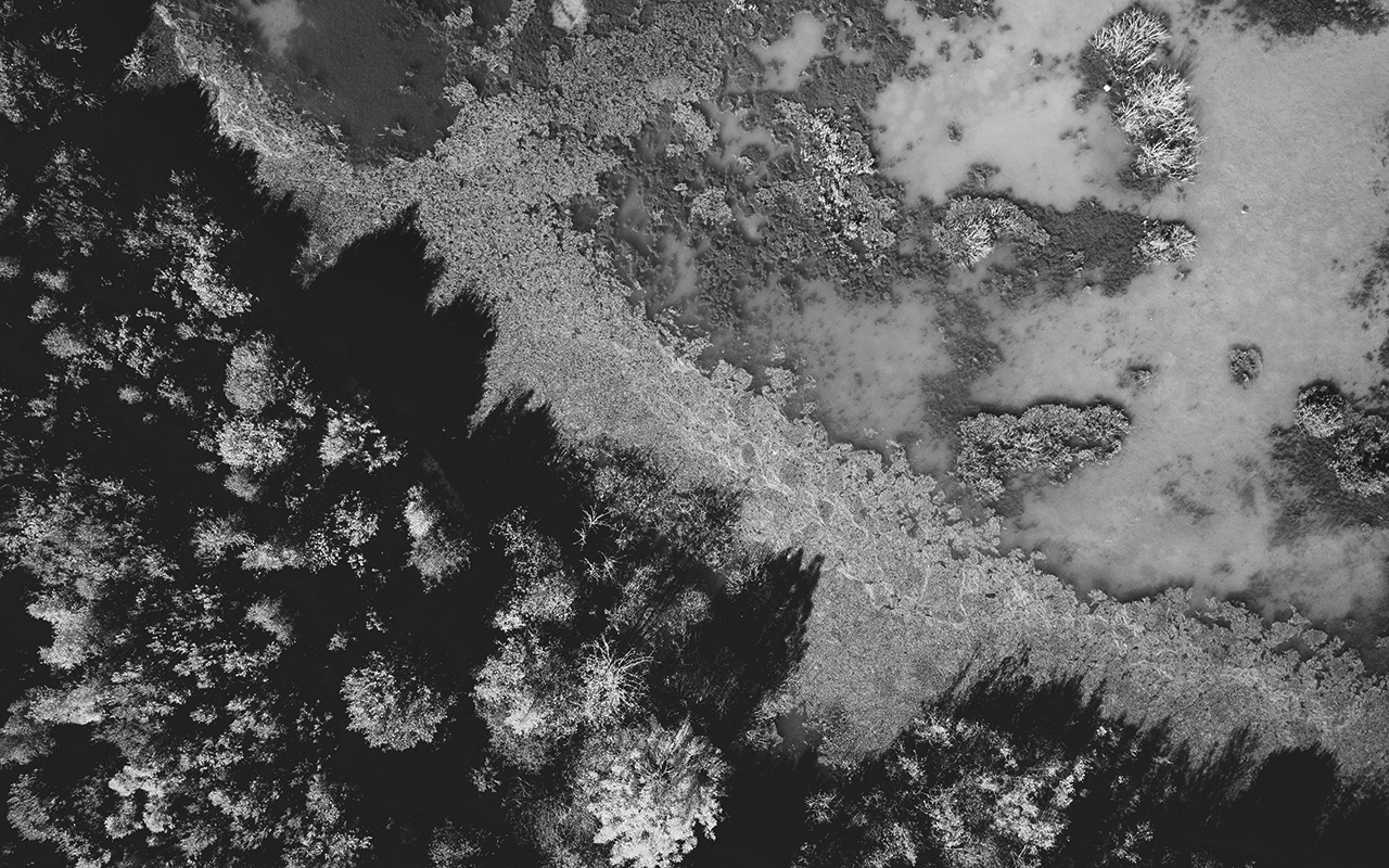 Aerial photo of body of water bordering an evergreen forrest.