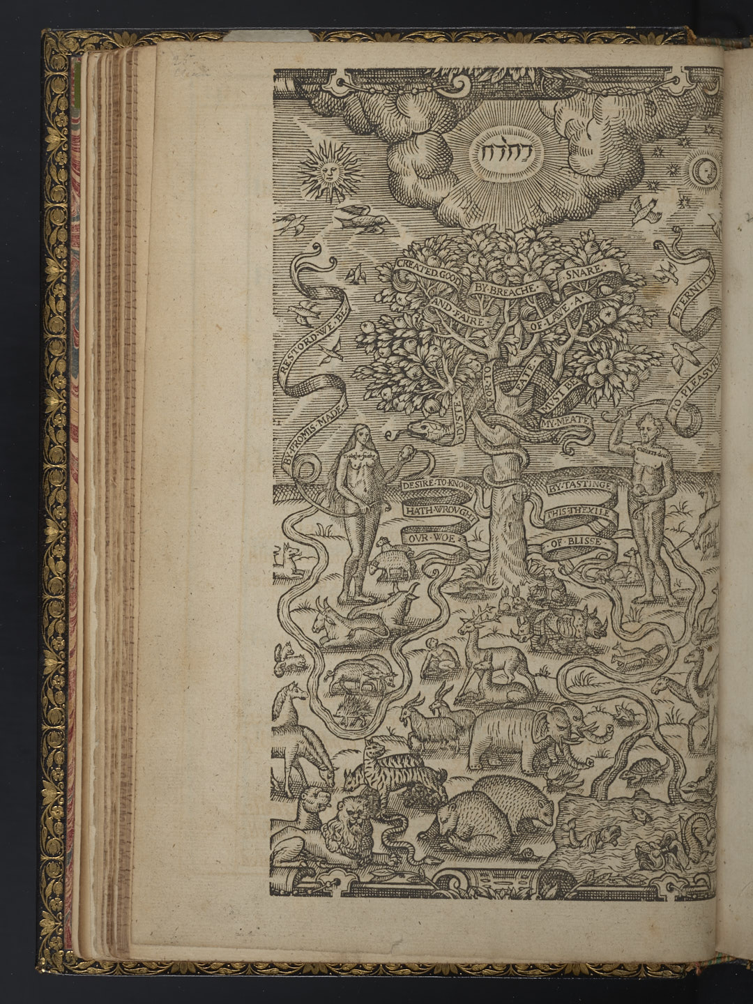 Photograph of a leaf inserted in *Theophila* (1652) with a woodcut of Adam and Eve.