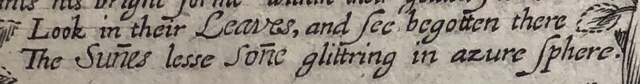 Cropped close-up of a photograph of lines engraved on the second emblem of *The Purple Island* (1633).